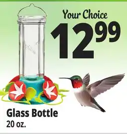 Ocean State Job Lot Glass Bottle offer
