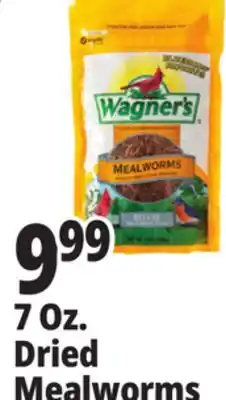 Ocean State Job Lot 7 Oz. Dried Mealworms offer
