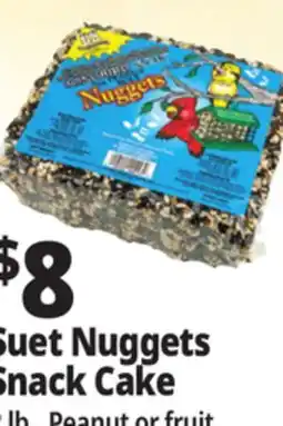 Ocean State Job Lot Suet Nuggets Snack Cake offer