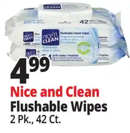 Ocean State Job Lot Nice and Clean Flushable Wipes offer