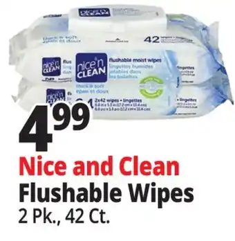 Ocean State Job Lot Nice and Clean Flushable Wipes offer