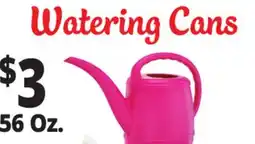 Ocean State Job Lot Watering Cans offer