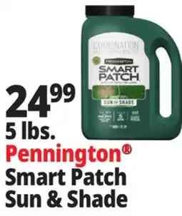 Ocean State Job Lot 5 lbs. Smart Patch Sun & shade offer