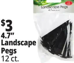 Ocean State Job Lot Landscape Pegs 12 Count offer