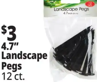 Ocean State Job Lot Landscape Pegs 12 Count offer