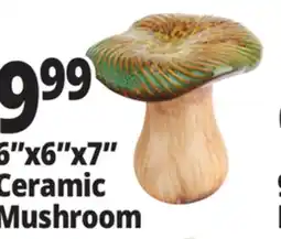 Ocean State Job Lot Ceramic Mushroom offer
