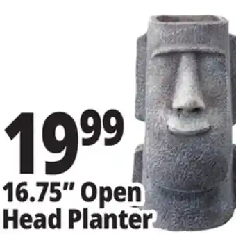 Ocean State Job Lot 16.75 Open Head Planter offer