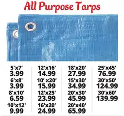 Ocean State Job Lot All Purpose Tarps offer