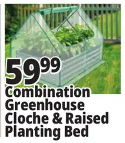 Ocean State Job Lot Combination greenhouse cloche & raised planting bed offer
