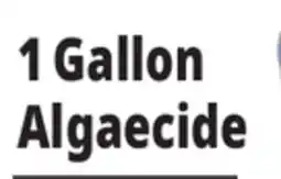 Ocean State Job Lot 1 Gallon Algaecide offer