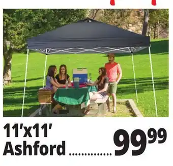Ocean State Job Lot 11'x11' Ashford offer