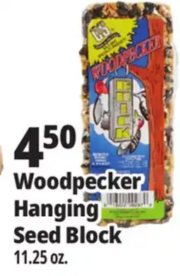 Ocean State Job Lot Woodpecker Hanging Seed Block offer