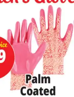 Ocean State Job Lot Palm Coated Women's Gloves offer