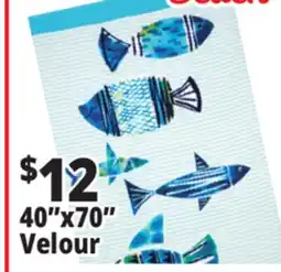 Ocean State Job Lot Beach Towels 40x70 Velour offer