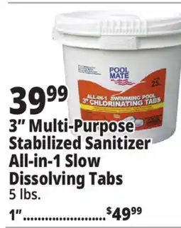 Ocean State Job Lot 3 Multi-Purpose Stabilized Sanitizer All-in-1 Slow Dissolving Tabs 1 offer