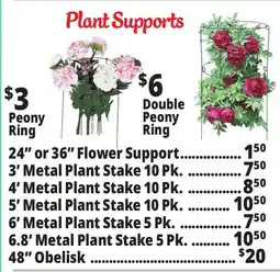 Ocean State Job Lot Plant Supports offer