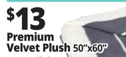 Ocean State Job Lot Premium Velvet Plush 50 x 60 offer