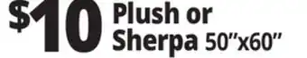 Ocean State Job Lot Plush or Sherpa 50 x 60 offer