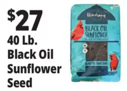 Ocean State Job Lot Black Oil Sunflower Seeds 40 lbs offer
