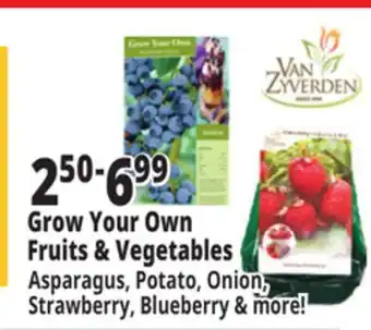 Ocean State Job Lot Grow Your Own Fruits & Vegetables offer