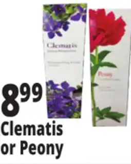 Ocean State Job Lot Clematis or Peony offer