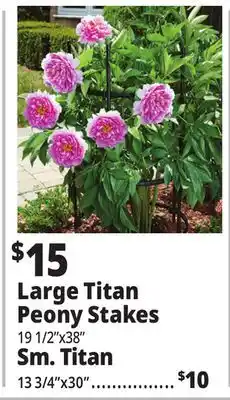 Ocean State Job Lot Large Titan Peony Stakes offer
