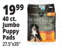Ocean State Job Lot Jumbo Puppy Pads offer
