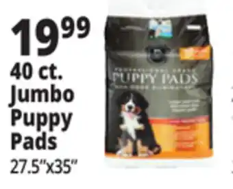 Ocean State Job Lot Jumbo Puppy Pads offer