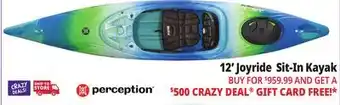 Ocean State Job Lot 12' Joyride Sit-In Kayak offer