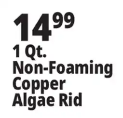 Ocean State Job Lot 1 Qt. Non-Foaming Copper Algae Rid offer