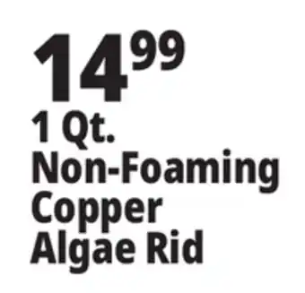 Ocean State Job Lot 1 Qt. Non-Foaming Copper Algae Rid offer