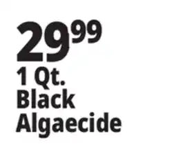 Ocean State Job Lot Black Algaecide 1 Qt offer
