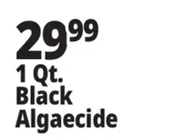 Ocean State Job Lot Black Algaecide 1 Qt offer