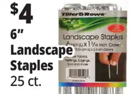 Ocean State Job Lot 6 Landscape Staples offer