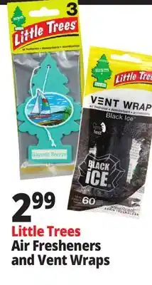 Ocean State Job Lot Air Fresheners and Vent Wraps offer