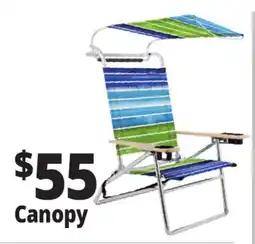 Ocean State Job Lot Canopy offer