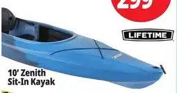 Ocean State Job Lot Zenith 10' Sit-In Kayak offer