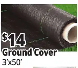 Ocean State Job Lot Ground Cover offer