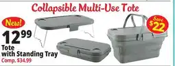 Ocean State Job Lot Tote with Standing Tray offer