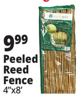 Ocean State Job Lot Peeled Reed Fence offer