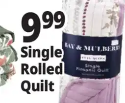 Ocean State Job Lot Single Rolled Quilt offer
