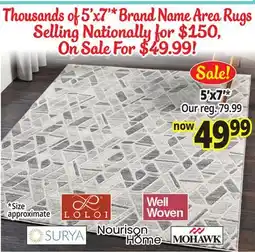 Ocean State Job Lot Thousands of 5'x7'* Brand Name Area Rugs offer