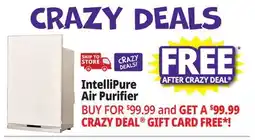 Ocean State Job Lot IntelliPure Air Purifier offer