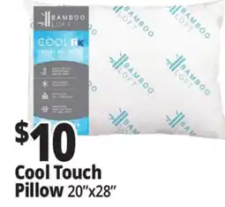 Ocean State Job Lot Cool Touch Pillow offer