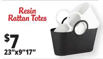 Ocean State Job Lot Resin Rattan Totes offer