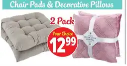 Ocean State Job Lot Chair Pads & Decorative Pillows 2 pack offer
