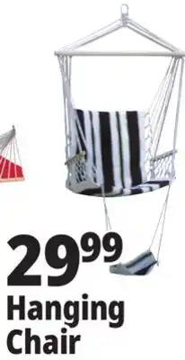 Ocean State Job Lot Hanging Chair offer