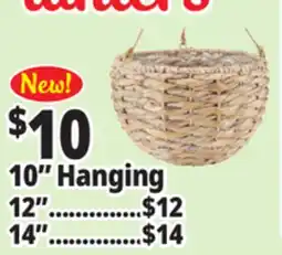 Ocean State Job Lot 10 Hanging Planters offer
