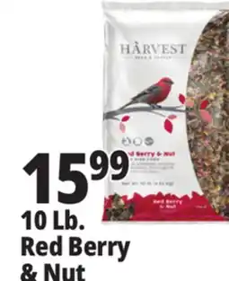 Ocean State Job Lot 10 lb. Red Berry & Nut offer