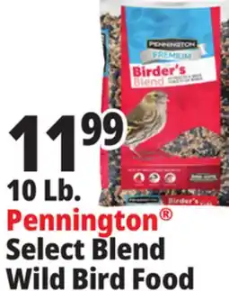 Ocean State Job Lot Pennington Select Blend Wild Bird Food offer